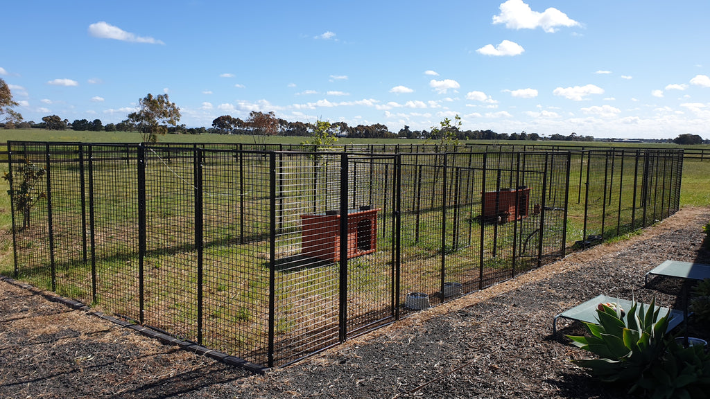 Heavyduty 1500mm and local government / council approved 1800mm high enclosures pens for dogs, cats, chickens and rabbits