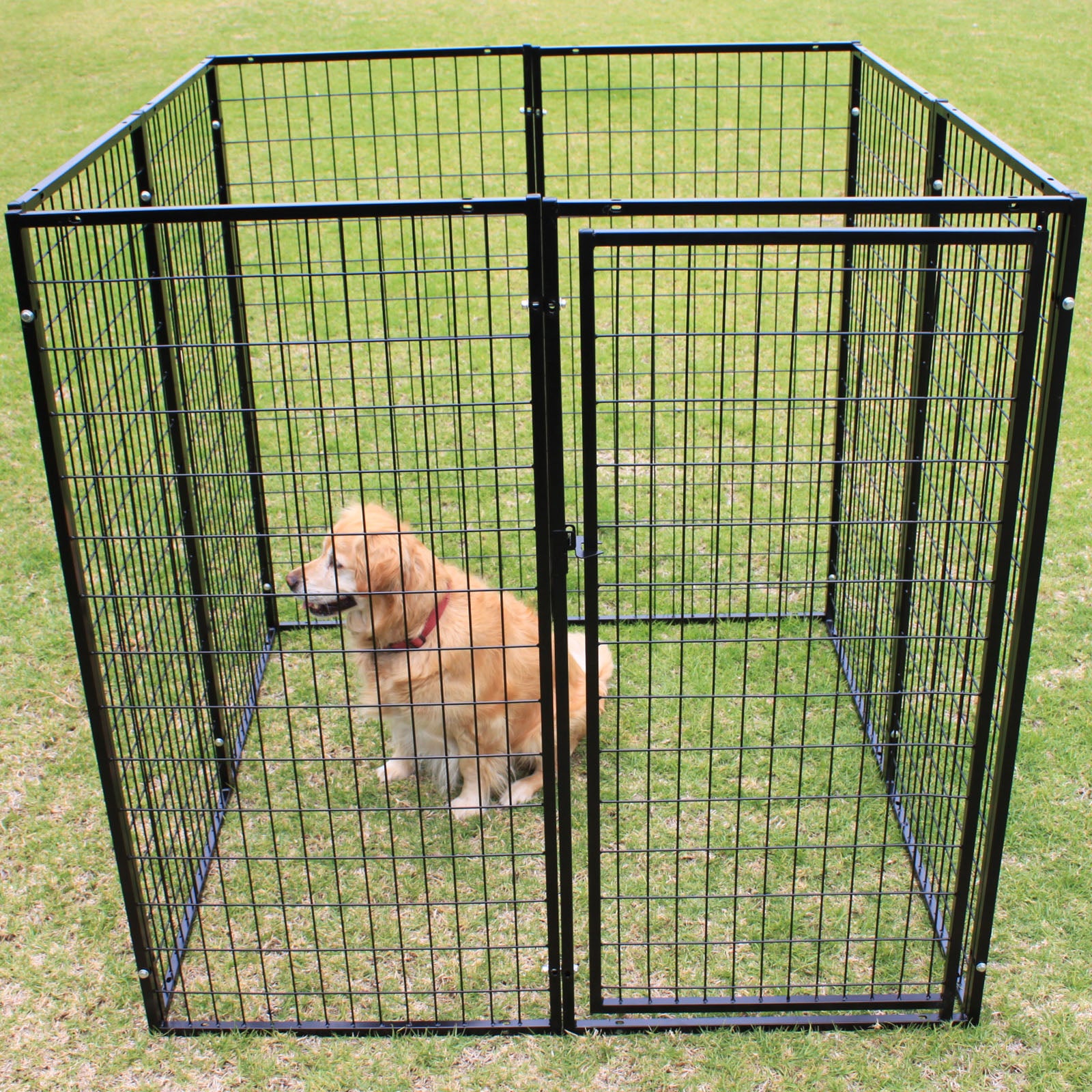 Dog pen shop for large dogs